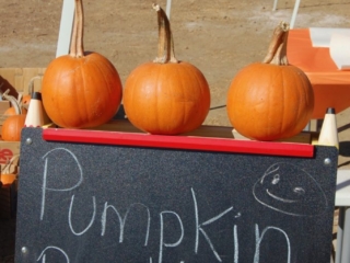 Pumpkin painting was another popular stop for all of the kids.