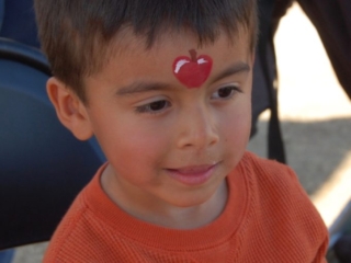 He is the apple of his parents eye.
