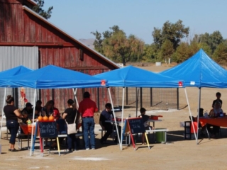 The project tents were busy all day.