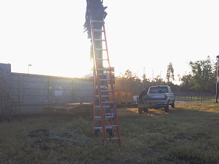 palm tree,truck,ladders,dumpster,worker