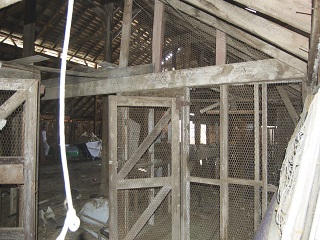barn,roof,metal,chicken coop,roop,wire
