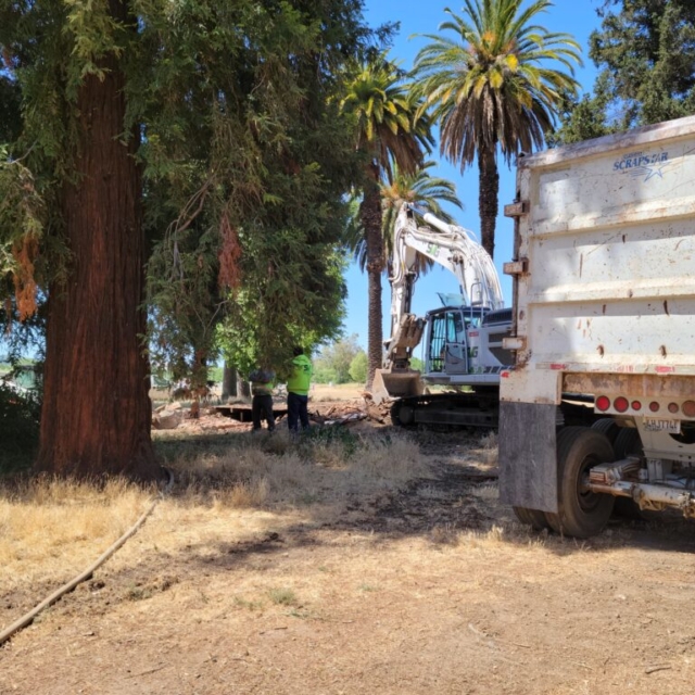 trailer,trees,excavator