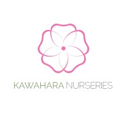 Kawahara Nurseries